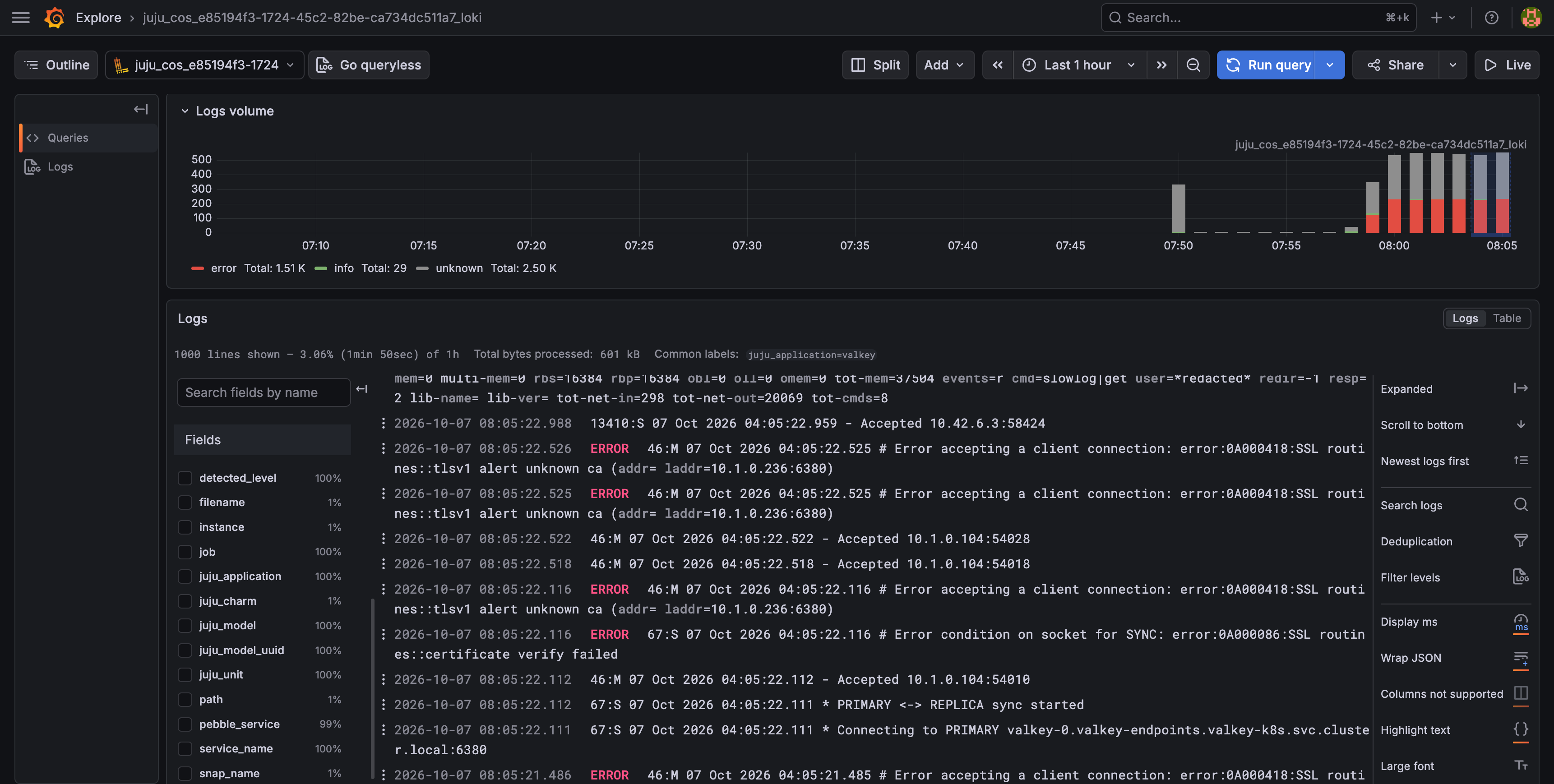 Valkey logs in Grafana Explore
