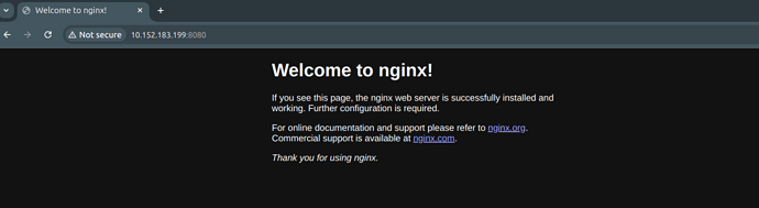 Nginx welcome page